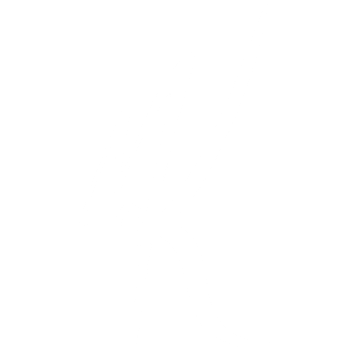 Krikor Motian | Photographe | Lyon | Vernaison
